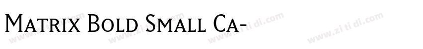 Matrix Bold Small Ca字体转换